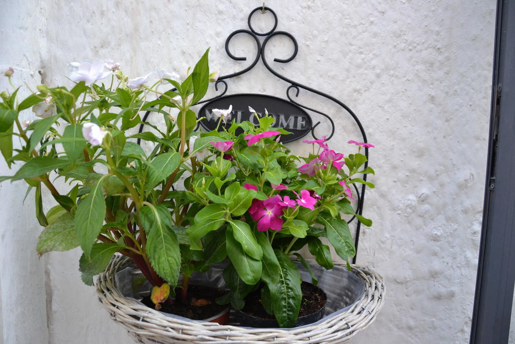 Ferienwohnung La Violetta Ostuni Zimmer foto